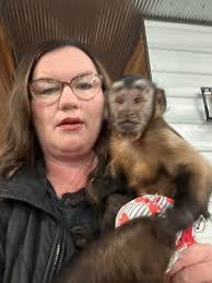 Kim Hickox's Instagram, Twitter & Facebook