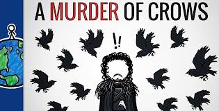 Pin On Crows