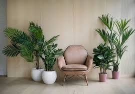 We turned to décor aid interior designers for their takes on the top houseplants that are easy to care for and stunning. 10 Houseplant Decor Ideas For Big Impact