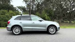 Image result for Ice Silver 2010 Q5