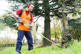 Whether you're a homeowner touching up your lawn or a landscaping professional tackling. Electric Vs Gas Weed Eater Which Is Right For Me
