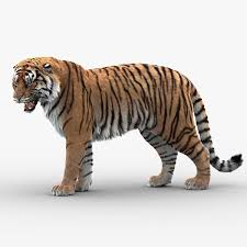Building a future in which humans live in harmony with nature. Tiger 5 Animated Fell 3d Modell Turbosquid 1438878