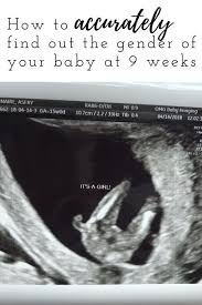 Pin On Pregnancy Supplies