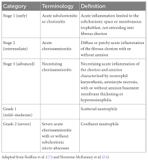 Image result for Chorioamnionitis