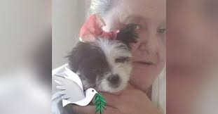 Judy Lynn Riggs Obituary