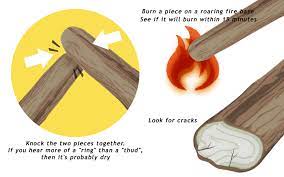 We did not find results for: How To Season Firewood 8 Steps With Pictures Wikihow