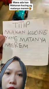 Mana ada kan makanan kucing yg matanya merem 😂 #trending