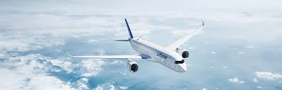 Lufthansa yorumları ve lufthansa bagaj şikayetleri sikayetvar.com'da! Travelling And Corona Lufthansa