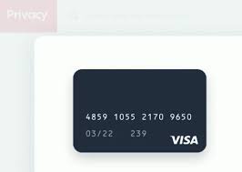 The omnicard visa® reward card and omnicard visa virtual account are issued by metabank®, n.a., member fdic, pursuant to a license from visa u.s.a. Omnicard Com Cards Activate Check Omni Card Balance Teuscherfifthavenue