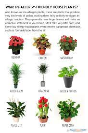 Some help by acting as a natural humidifier for flowering plants, make sure flowers have short stamens and little pollen. Allergy Friendly Houseplants Check Out Http Beyondgoodhealthclinics Com Au Home Remedies For Allergies Best Indoor Plants Plants Small Indoor Plants