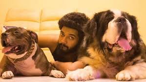 Karthik Raj S Pics With His Pitbull And Saint Bernard Will Make You Want To Adopt One Too Zee5 News Karthik raj wiki, biography, age, movies, images, and more. karthik raj s pics with his pitbull and