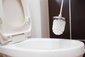 You're currently using an older browser and your experience may not be optimal. You Should Never Clean Your Toilet With A Toilet Brush Experts Warn
