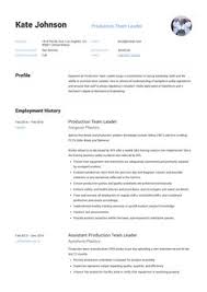 To help the company cope with its everyday operations effectively and efficiently and ensure the timely delivery of outputs and services to the clients. 11 Production Team Leader Resume Examples Ideas Resume Examples Resume Team Leader