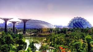 Singapore: A Garden City with Plastic Flowers - Singapore Policy ...