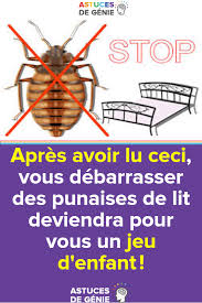 Apres Avoir Lu Ceci Vous Debarrasser Des Punaises De Lit Deviendra Pour Vous Un Jeu D Enfant Meat Food