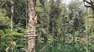 Jejak yang Tertinggal di Pos 2: Ayah dan Anak yang Hilang di ...