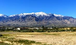 Image result for Mountain Gray 1931 Graham