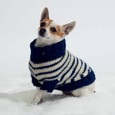 We did not find results for: Dog Sweater Knitting Patterns Allfreeknitting Com