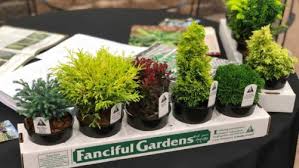 Fas 334 mart plainville ct. Garden Center Group Archives Greenhouse Grower