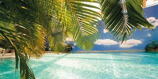 Jun 17, 2021 · the island at ellis also offers an exclusive food and drink menu. Tropical Islands Linkedin
