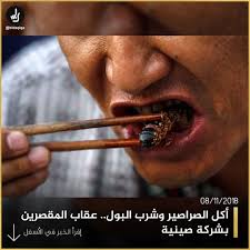 الخبرية شرب البول والتهام الصراصير كان عقابا فرضته شركة صينية لترميم المنازل على عمالها المقصرين في أداء المهام وإلا كان مصيرهم الضرب