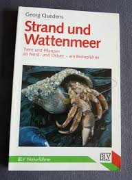 Viele der vorkommenden arten sind zugleich sehr ungewöhnlich und typisch für diesen ganz speziellen lebensraum zwischen land und meer. Strand Und Wattenmeer Tiere Und Pflanzen An Nord Und Georg Quedens Buch Gebraucht Kaufen A02kx04a01zzu