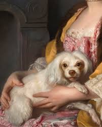 The Nelson-Atkins Museum of Art