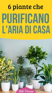 Creare una fioriera con le conchiglie siete sempre alla ricerca di de. 900 Idee Su Fiori Giardini E Parchi Nel 2021 Fiori Giardinaggio Giardino