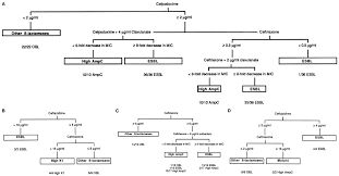 Valid E Coli Identification Flowchart Enterobacter Cloacae