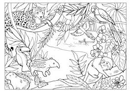 Rainforest Coloring Pages Coloring Pages Disney Coloring Pages Pokemon Coloring