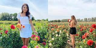 There should be more colours can carry their own significance and fortunately we have a gorgeous array of colours to. 6 Ontario Flower Farms Where You Can Pick Your Own Blooms Narcity