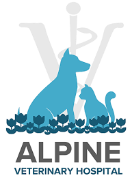 Check spelling or type a new query. Rockford Il Veterinarian And Animal Hospital Alpine Veterinary Hospital