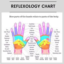 We did not find results for: Ultimate Guide To Meditation Mudras For Beginners With List