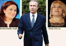 Hanefi avcı daha sonra i̇çişleri bakanlığı'na girdi ve bu dönemde sırasıyla mersin merkez ve gülnar ilçelerinde görev yaptı. Hanefi Avci Sevgilisine De Esine De Kizdi