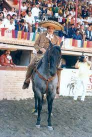 Vicente Fernandez Vicente Fernandez Mexican Culture Mexican Art