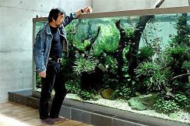 Takashi amano x oceanário de lisboa the road to the world's largest nature aquarium takashi amano, the aquascaper representing japan, challenges for truly unprecedented and unexplored front. Pim Bongaerts Auf Twitter Rip Takashi Amano Master In The Art Of Aquascaping Https T Co Bf6i3et5k4 Http T Co Jwxbwz77tk