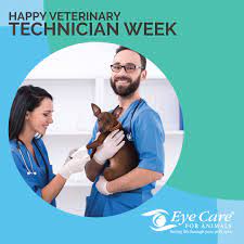 Optometrists and ophthalmologists are available in your area for eye exam services, prescription vsp network doctors and visionworks locations are available to provide you with essential eye care services, that can prevent a trip to the. Eye Care For Animals Home Facebook