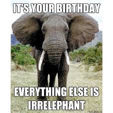The 150 Funniest Happy Birthday Memes Dank Memes Only Yellow Octopus