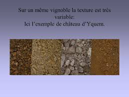 Active carbon consists of the available or labile portion of soil organic matter (som), of which carbon in organic molecules is the backbone and about 45% by weight. Les Elements Grossiers De La Texture Ppt Video Online Telecharger