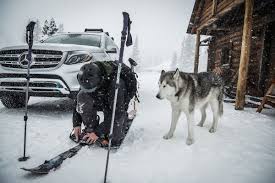 Greatest Crew Of All Time Mbphotocredit Loki The Wolfdog Via Mercedes Benz Usa Mercedes Benz Benz Dog Sledding