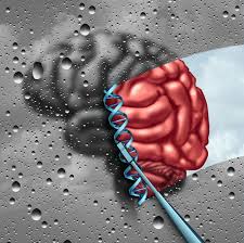 Neurocognitive Disorder Due To Alzheimers Disease Case Study Alzheimer S Disease Symptoms