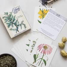Plant Knowledge Cards 48 Cards With Individual Herbs Plant Study Study Cards Homeschool Nature Study
