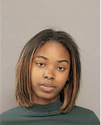 ᐅ Illinois Criminal Records 2009-2025