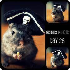 Pin On Pets And Pet Related Crafts