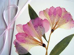 Pressed flower cards are fun and easy to make. Uses For Old Flowers Popsugar Smart Living