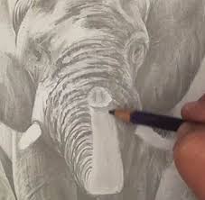 Adding details and where to stop. How To Draw An Elephant Online Art Lessons
