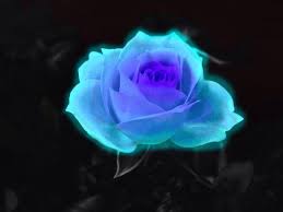 Pin By Janet Bradbury On Flowers Blue Roses Wallpaper Blue Rose Tattoos Rose Flower Wallpaper