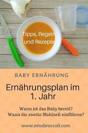 ernahrungsplan furs erste jahr baby mama foodblog baby ernahrung babynahrung ernahrung