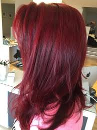 Light beige brown hair color 15 Best Burgundy Hair Color Shades Available In India Styles At Life