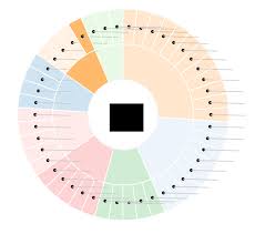 Javascript Labeling A D3 Sunburst Chart Stack Overflow